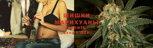 spice Алзамай