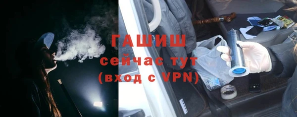 индика Краснослободск