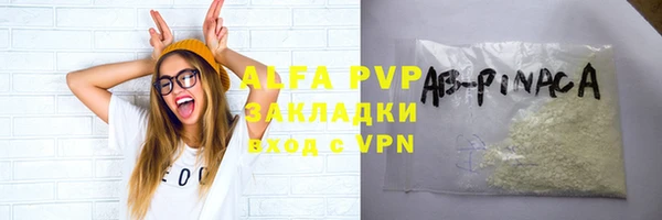 СК Алексин