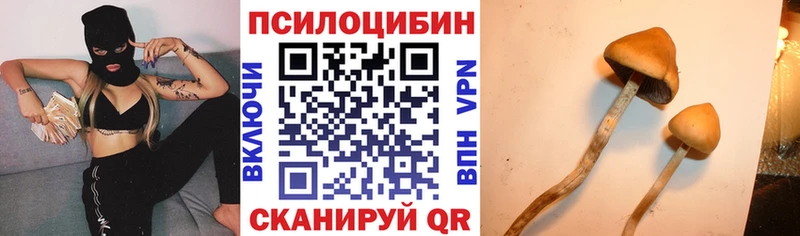 Псилоцибиновые грибы GOLDEN TEACHER  Беломорск 